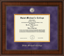 Michaels college hot sale diploma frames