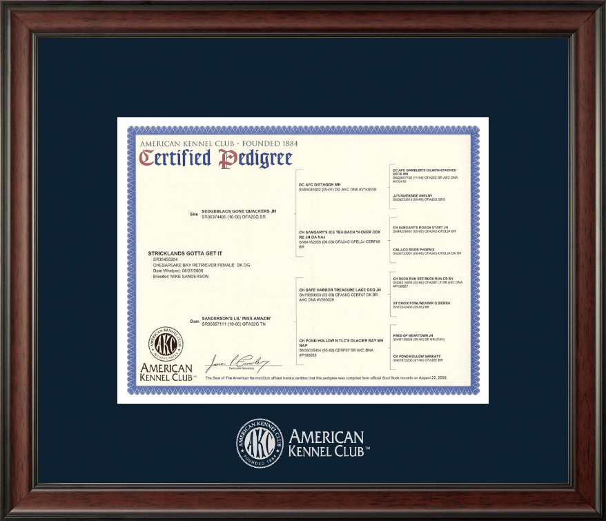 AKC Silver Embossed Pedigree Frame Navy Matting - Main Image