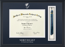 Tassel & Cord Diploma Frame in Obsidian Northeast Wisconsin